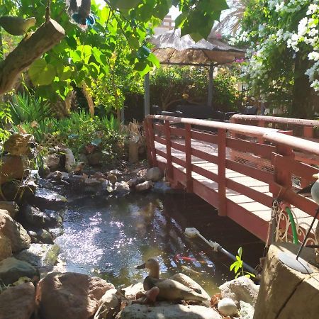 Lotus Turtle Garden Eilatアパートメント エクステリア 写真