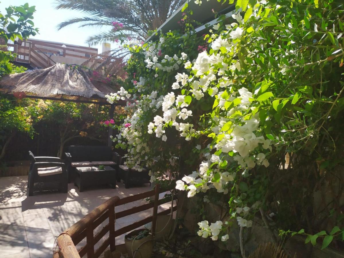 Lotus Turtle Garden Eilatアパートメント エクステリア 写真