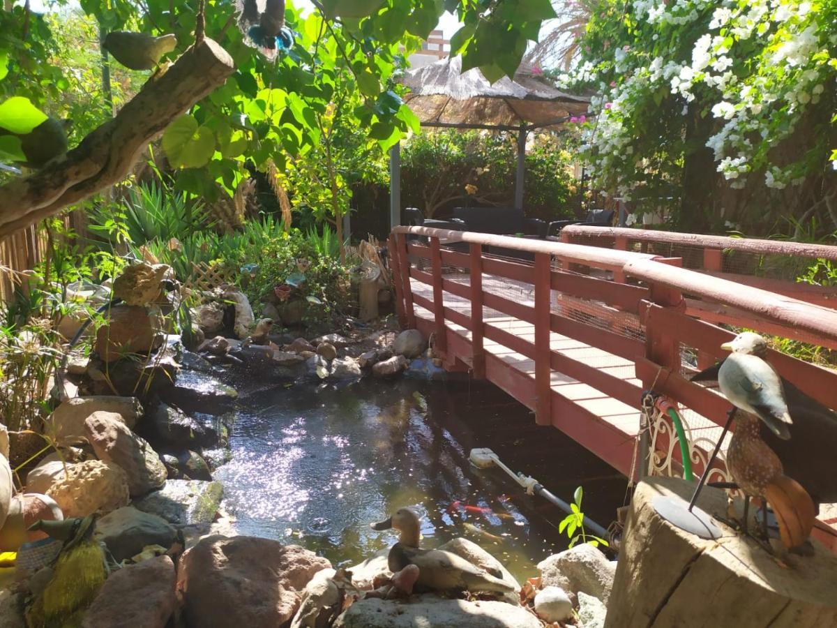 Lotus Turtle Garden Eilatアパートメント エクステリア 写真