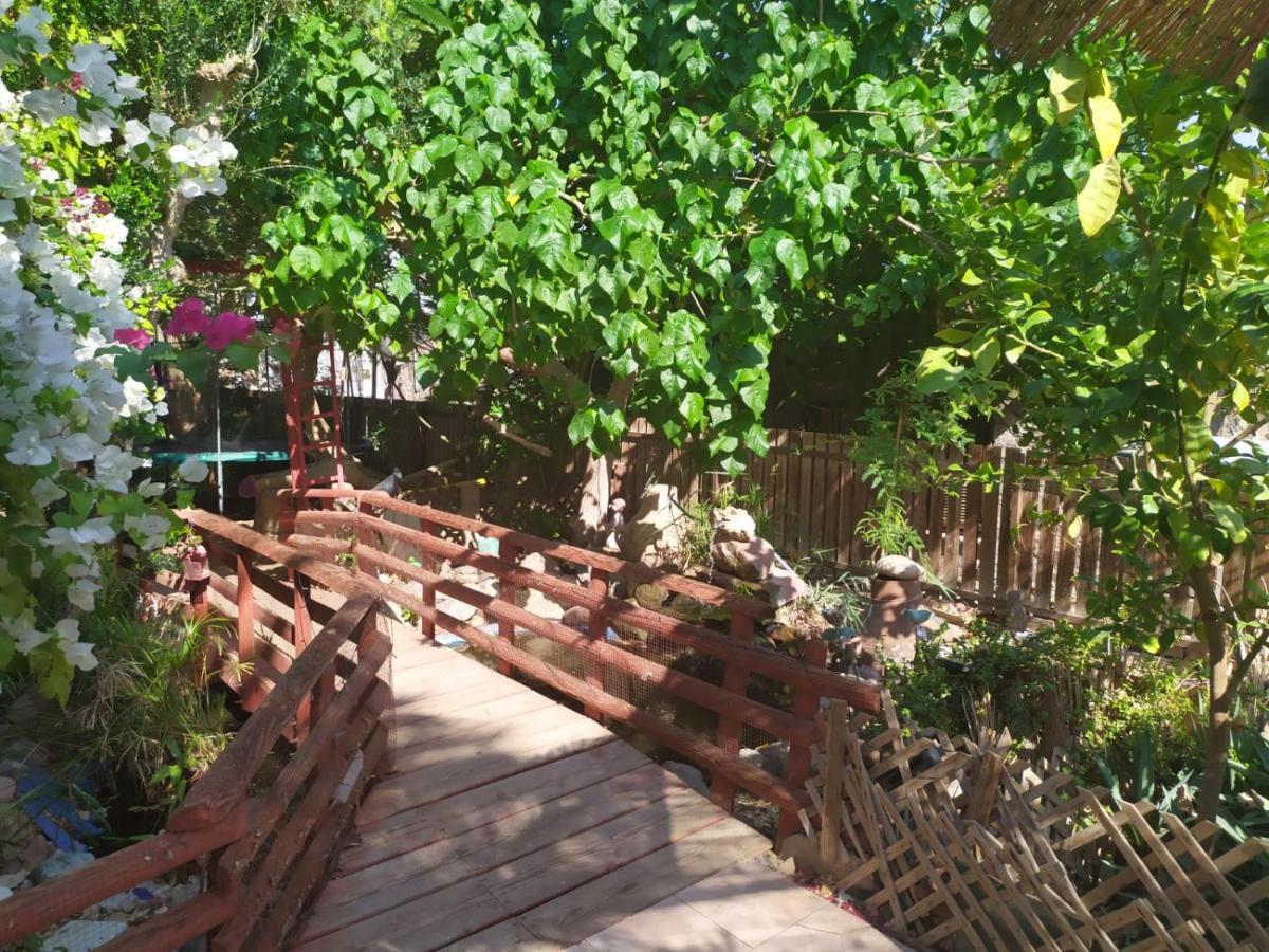 Lotus Turtle Garden Eilatアパートメント エクステリア 写真