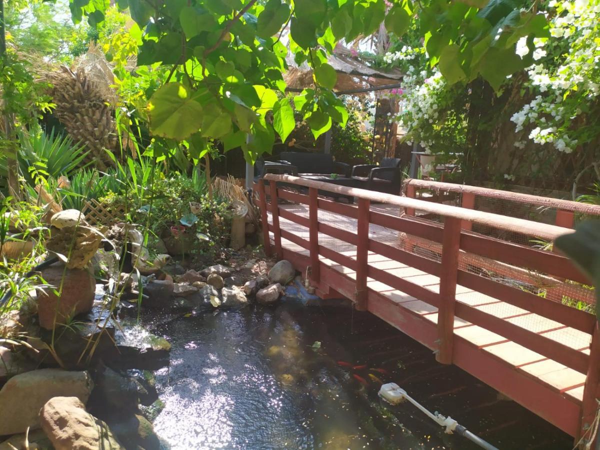 Lotus Turtle Garden Eilatアパートメント エクステリア 写真